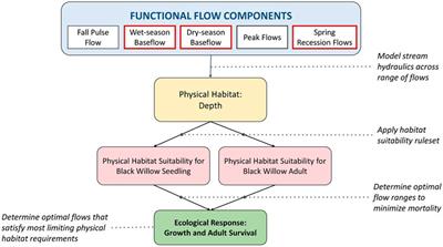 Editorial: Environmental flows in an uncertain future